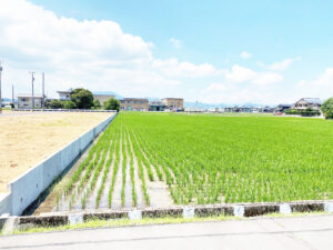 越前市矢放町②【売土地】