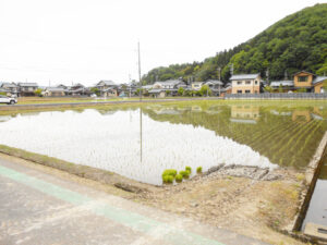 越前市矢放町【売土地】