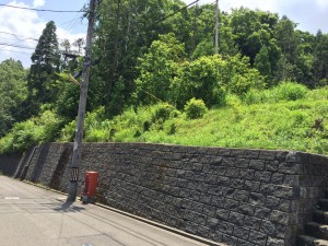 丹生郡越前町朝日20-146【売土地】